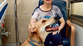 הכלב שסבל מהתעללות קשה הציל אישה בת 80 שעברה שבץ מוחי