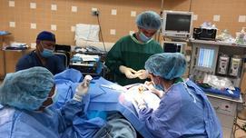 זוג הרופאים הישראלים שבמשך שנה טיפלו ב-1,500 איש במדינת פלאו