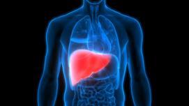 הפרעה באנזימי כבד- Elevated Liver Enzymes